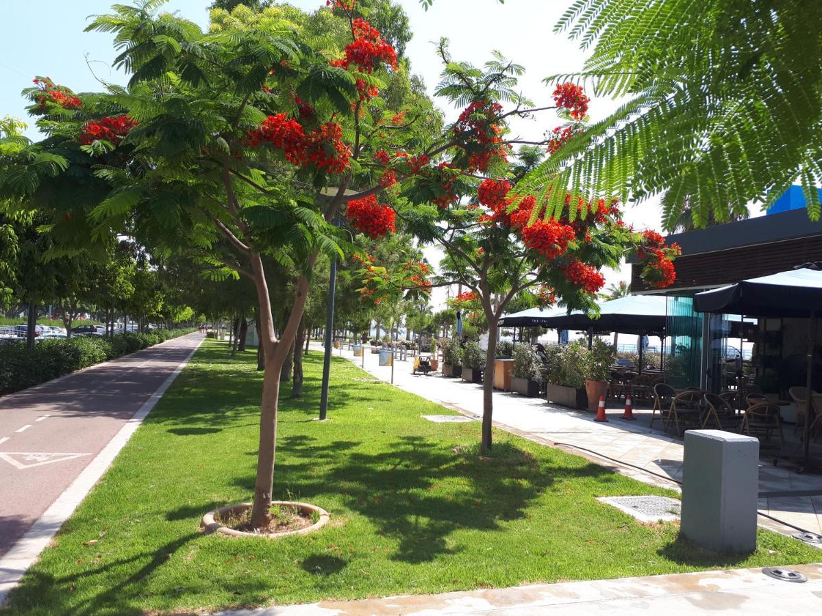Sea Front & City Center, Amazing Sea View ลิมาซอล ภายนอก รูปภาพ